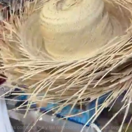 Pava puertorriqueña tradicional